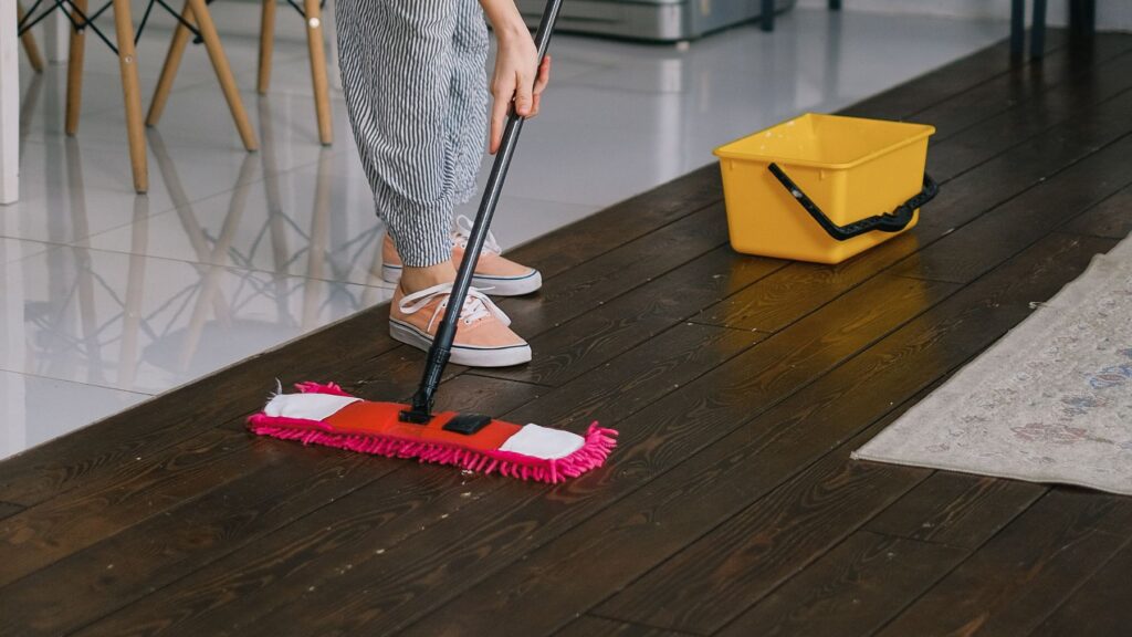 washing floors to get rid of ants