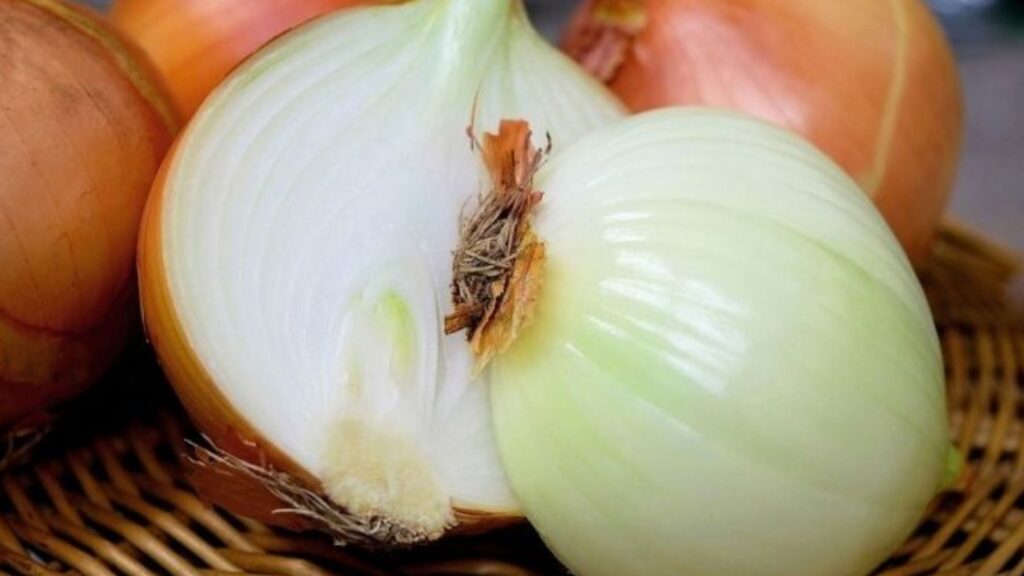 cracked heels: onion